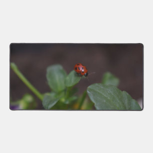 Ladybug auf Blume Schreibtischunterlage