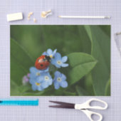 Ladybug auf Blume Seidenpapier (Handwerk)