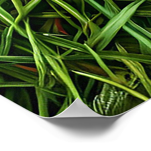 Ladybug auf dem Gras Poster (Ecke)