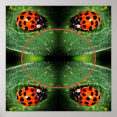 Ladybug auf dem Leaf-Rahmen erstellen Sie Ihr eige Poster (Vorne)