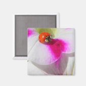 Ladybug auf dem Petunia Magnet (Vorderseite/Rückseite)