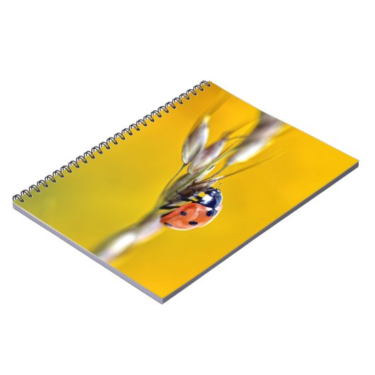 Ladybug auf dem Puzzle mit Stamm-Postkarte Notizblock (Linke Seite)