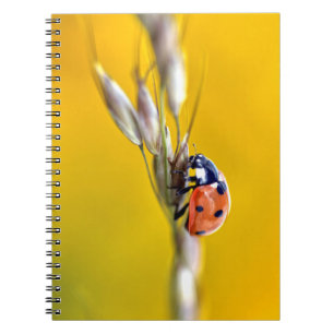 Ladybug auf dem Puzzle mit Stamm-Postkarte Notizblock