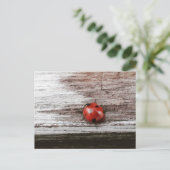 Ladybug auf der Ansichtskarte aus nassem Holz Postkarte (Stehend Vorderseite)