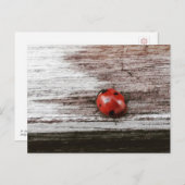Ladybug auf der Ansichtskarte aus nassem Holz Postkarte (Vorne/Hinten)