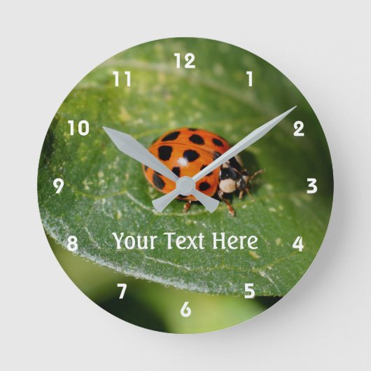 Ladybug auf der Leaf-Natur Runde Wanduhr (Vorderseite)