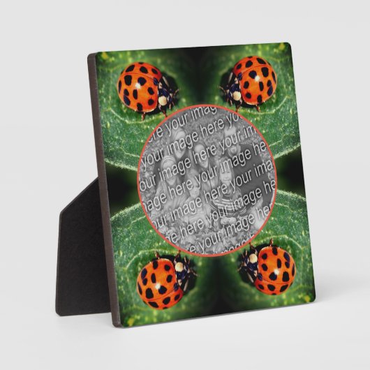 Ladybug auf der linken Seite Erstellen Sie Ihr eig Fotoplatte (Vorderseite)