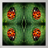 Ladybug auf der linken Seite Nah Abstrakt Poster (Vorne)