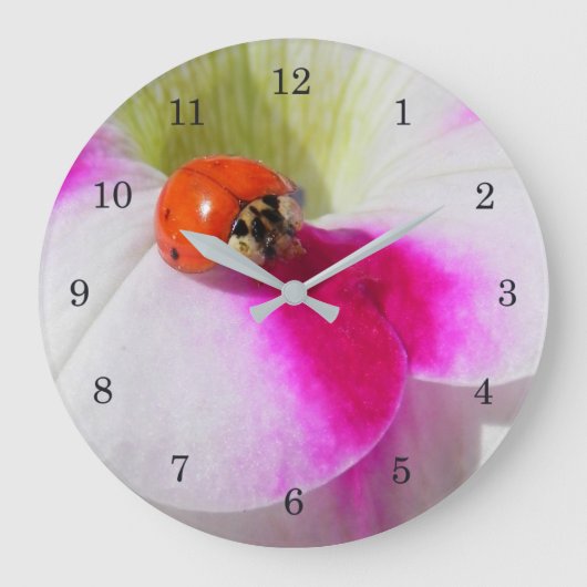 Ladybug auf der Petunia Große Wanduhr (Vorderseite)