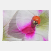 Ladybug auf der Petunia -    Küchentuch (Horizontal)