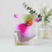 Ladybug auf der Petunia Postkarte (Stehend Vorderseite)