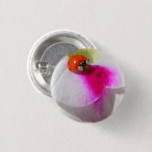 Ladybug auf der Petunia-Taste Button (Vorne & Hinten)