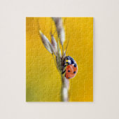 Ladybug auf der Postkarte Puzzle (Vertikal)
