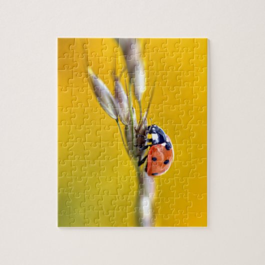 Ladybug auf der Postkarte Puzzle (Vertikal)