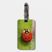 Ladybug auf der Sonnenblumenhalle Gepäckanhänger (Rückseite vertikal)
