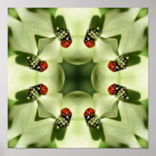 Ladybug auf Dogwood Abstrakte Natur Spiegelkunst Poster