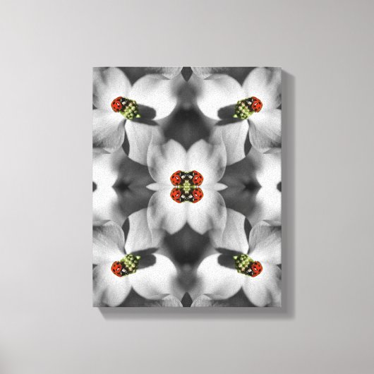Ladybug auf Dogwood-Blume Abstrakte Natur Leinwanddruck (Vorderseite)