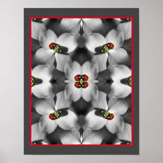 Ladybug auf Dogwood-Blume Abstrakte Natur Poster (Vorne)