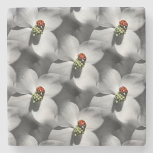 Ladybug auf Dogwood Blume Art Pattern Steinuntersetzer (Vorderseite)