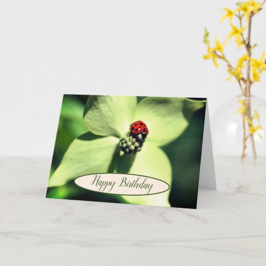 Ladybug auf Dogwood-Blume Geburtstag Karte (Gelbe Blume)