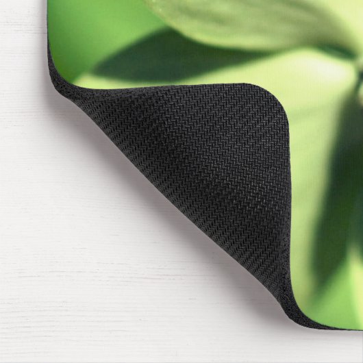 Ladybug auf Dogwood-Blume Mousepad (Ecke)