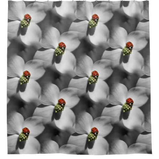 Ladybug auf Dogwood Blume Nattern Muster Duschvorhang (Vorderseite)