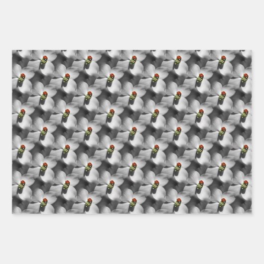 Ladybug auf Dogwood Blume Nattern Muster Geschenkpapier Set (Vorderseite 2)