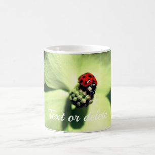 Ladybug auf Dogwood-Blume Personalisiert Kaffeetasse