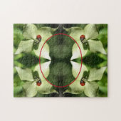 Ladybug auf Dogwood Blume Rahmen hinzufügen Foto Puzzle (Horizontal)