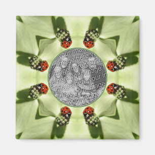 Ladybug auf Dogwood Nature Fügen Sie Ihr Foto hinz Magnet