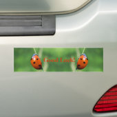 Ladybug auf einem Grashalm-Autoaufkleber Autoaufkleber (Auf Auto)