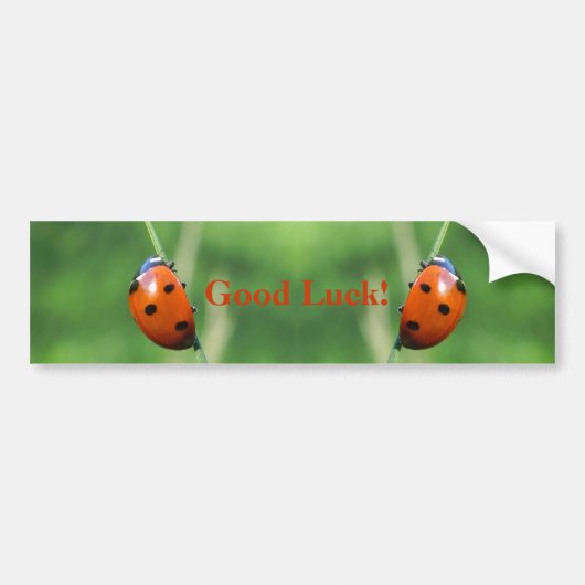 Ladybug auf einem Grashalm-Autoaufkleber Autoaufkleber (Vorne)