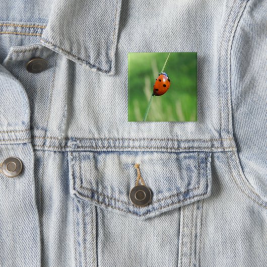 Ladybug auf einem Grashalm Button (Beispiel)
