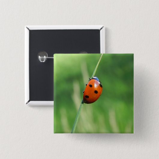 Ladybug auf einem Grashalm Button (Vorne & Hinten)