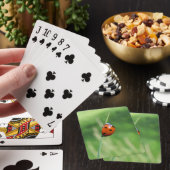 Ladybug auf einem Grashalm, der Karten spielt Spielkarten (In Situ)