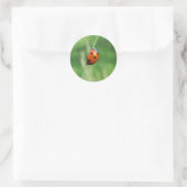 Ladybug auf einem Grashalm Runder Aufkleber (Tasche)