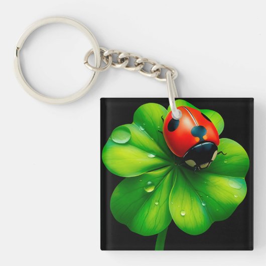 Ladybug auf einem Taubenleder Schlüsselanhänger (Vorderseite)
