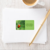 Ladybug auf einer Grashalde Adressaufkleber (Insitu)