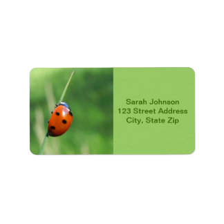 Ladybug auf einer Grashalde Adressaufkleber