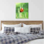 Ladybug auf einer Grashalde Canvas Print Leinwanddruck (Insitu (Schlafzimmer))