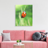 Ladybug auf einer Grashalde Canvas Print Leinwanddruck (Insitu (Wohnzimmer))