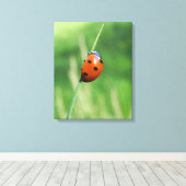 Ladybug auf einer Grashalde Canvas Print Leinwanddruck (Insitu (Holzboden))