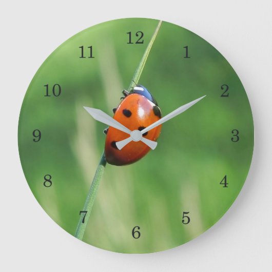 Ladybug auf einer Grashalde Große Wanduhr (Vorderseite)