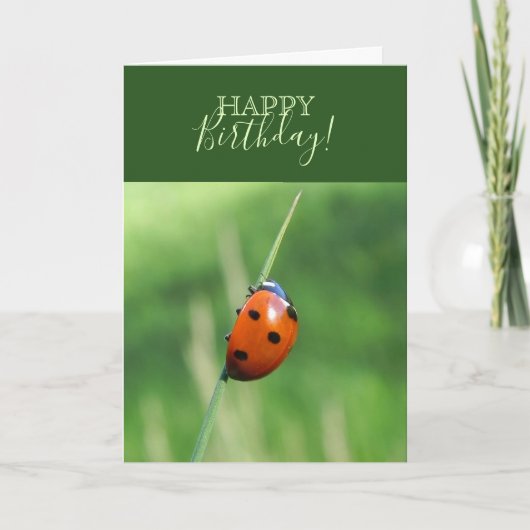 Ladybug auf einer Grashalde Karte (Vorderseite)