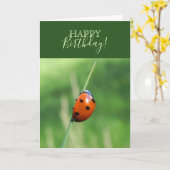 Ladybug auf einer Grashalde Karte (Gelbe Blume)