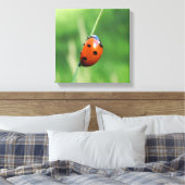 Ladybug auf einer Grashalde Leinwanddruck (Insitu (Schlafzimmer))