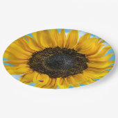 Ladybug auf einer Sonnenblume Pappteller (Schrägansicht)