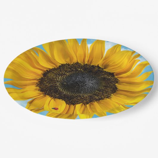 Ladybug auf einer Sonnenblume Pappteller (Schrägansicht)