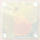 Ladybug auf gelber affodischer Blüte Glasuntersetzer (Rückseite)