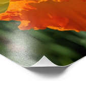 Ladybug auf gelber affodischer Ebene Fotodruck (Ecke)